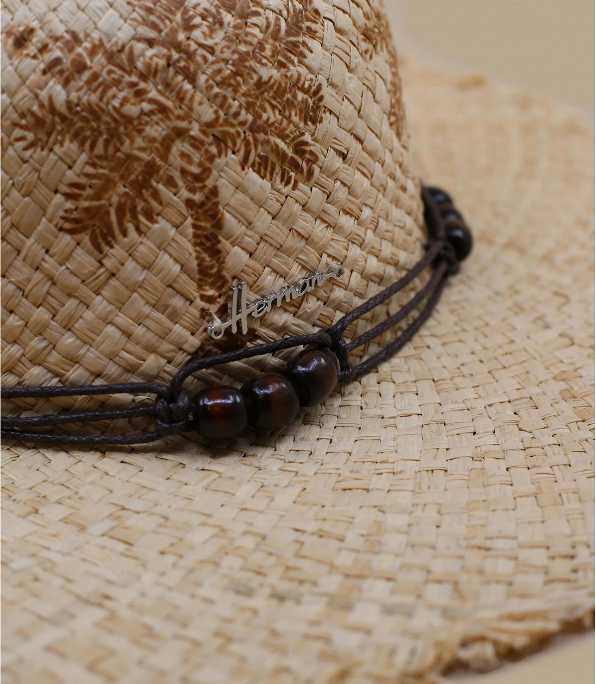 Curacao Palm Trees – Image 4