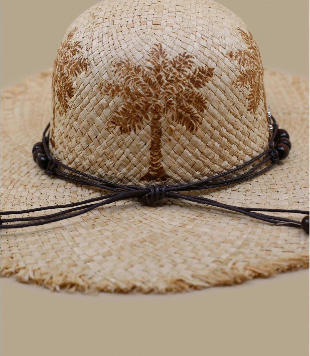 Curacao Palm Trees – Image 5